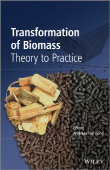 Transformation of Biomass: Theory to Practice