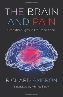 The Brain and Pain: Breakthroughs in Neuroscience