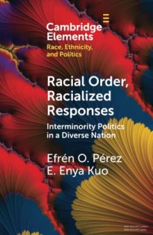 Racial Order, Racialized Responses: Interminority Politics in a Diverse Nation