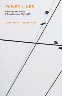 Power Lines: Electricity in American Life and Letters, 1882-1952