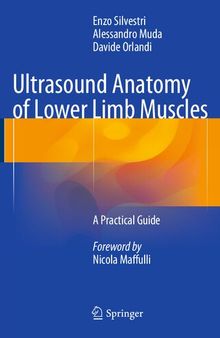 Ultrasound Anatomy of Lower Limb Muscles: A Practical Guide