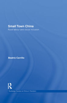 Small Town China: Rural Labour and Social Inclusion