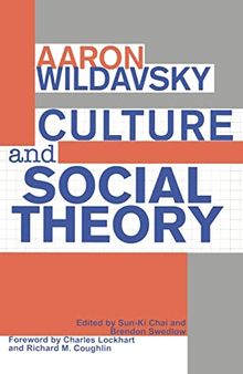 Culture and Social Theory