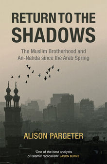 Return to the Shadows: The Rise and Fall of the Muslim Brotherhood