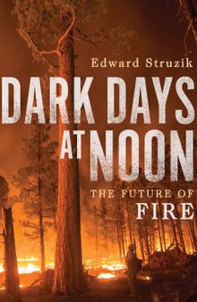 Dark Days at Noon: The Future of Fire