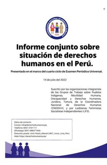 Informe conjunto sobre situación de derechos humanos en el Perú. Presentado en el marco del cuarto ciclo de Examen Periódico Universal