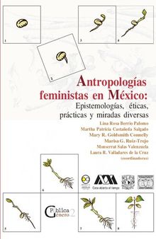 Antropologías feministas en México : epistemologías, éticas, prácticas y miradas diversas