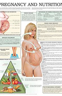 Pregnancy and nutrition e chart: Full illustrated