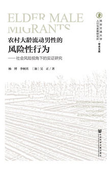 农村大龄流动男性的风险性行为：社会风险视角下的实证研究