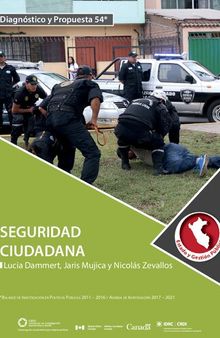 Seguridad ciudadana (Perú)