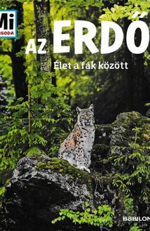 Az erdő – Élet a fák között