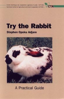 Try the Rabbit