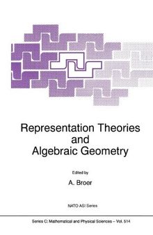 Representation theories and algebraic geometry
