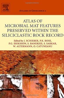 Atlas of Microbial Mat Features Preserved within the Siliciclastic Rock Record, Volume 2