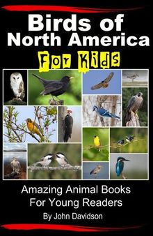 Birds of North America For Kids