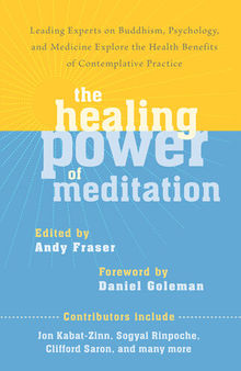 The Healing Power of Meditation: Leading Experts on Buddhism, Psychology, and Medicine Explore the Health Benefit s of Contemplative Practice