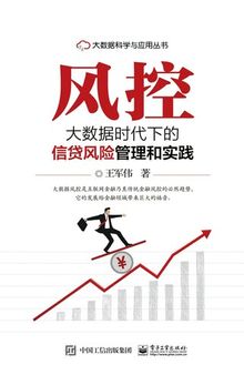 风控: 大数据时代下的信贷风险管理和实践