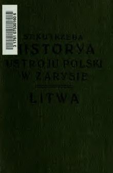 Historya ustroju Polski w zarysie. T. 2, Litwa