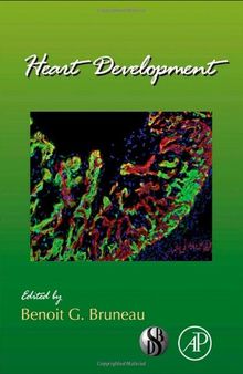 Heart Development, Volume 100