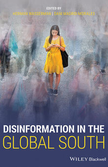 Disinformation in the Global South
