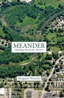 Meander: Making Room for Rivers