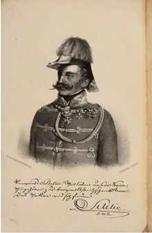 Die Winter-Campagne des Graf Schlikschen Armeekorps  1848-1849