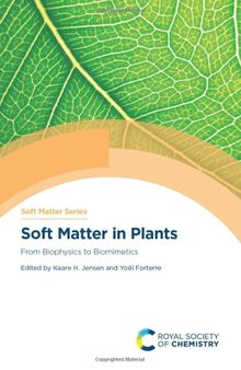 Soft Matter in Plants: From Biophysics to Biomimetics
