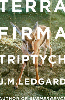 Terra Firma Triptych: When Robots Fly