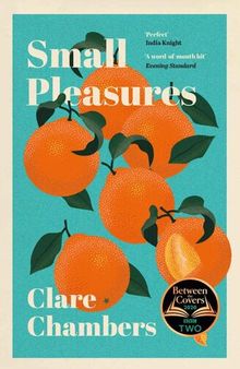 Small Pleasures: Longlisted for the Women's Prize for Fiction 2021
