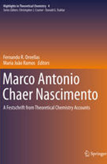 Marco Antonio Chaer Nascimento: A Festschrift from Theoretical Chemistry Accounts