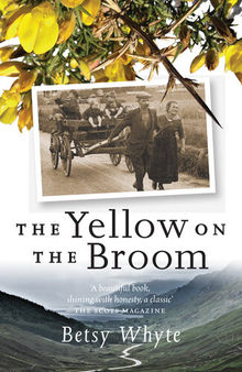 The Yellow on the Broom