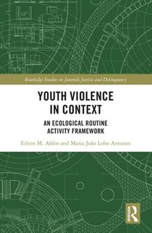 Youth Violence in Context: An Ecological Routine Activity Framework