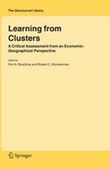 Learning from Clusters: A Critical Assessment from an Economic-Geographical Perspective