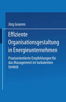 Effiziente Organisationsgestaltung in Energieunternehmen: Praxisorientierte Empfehlungen für das Management im turbulenten Umfeld