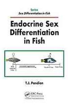 Endocrine sex differentiation in fish
