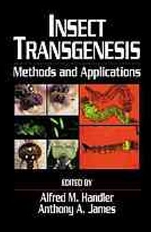 Insect transgenesis: methods and applications