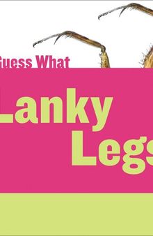 Lanky Legs: Praying Mantis