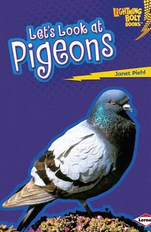 Let's Look at Pigeons