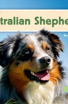 Australian Shepherds