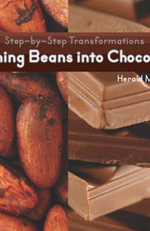 Turning Beans Into Chocolate