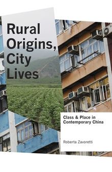 Rural Origins, City Lives: Class and Place in Contemporary China