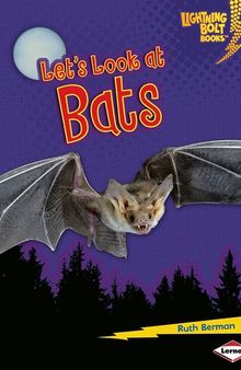Let's Look at Bats
