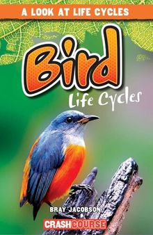 Bird Life Cycles