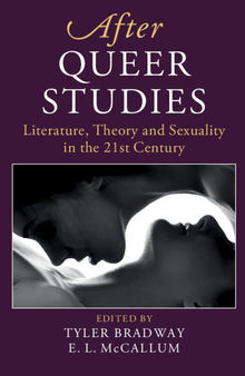 After Queer Studies: Literature, Theory and Sexuality in the 21st Century