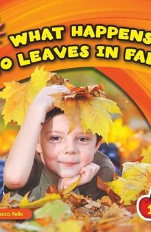 What Happens to Leaves in Fall?
