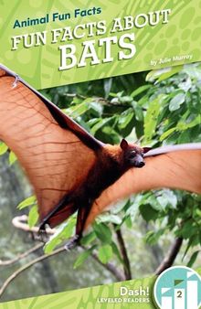Fun Facts about Bats
