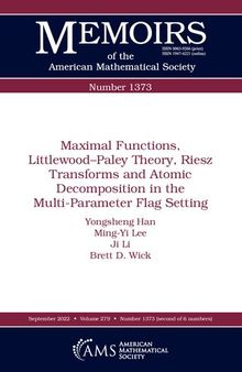 Maximal Functions, Littlewood-paley Theory, Riesz Transforms and Atomic Decomposition in the Multi-parameter Flag Setting