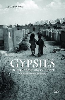 Gypsies in Contemporary Egypt: On the Peripheries of Society