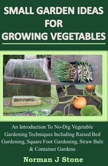 Small Garden Ideas For Growing Vegetables