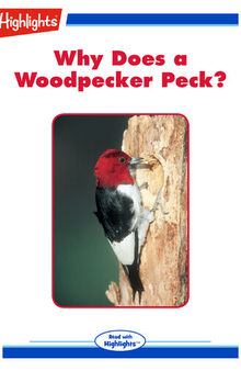 Why Does a Woodpecker Peck?